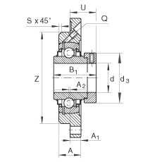 軸承座單元 RME60-N, 帶四個螺栓孔的法蘭的軸承座單元，定心凸出物，鑄鐵，偏心鎖圈，R 型密封
